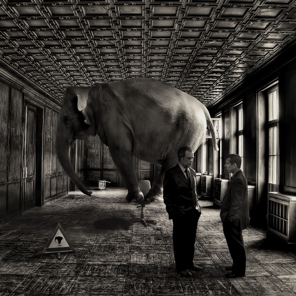 Organisational stress - the elephant in the room